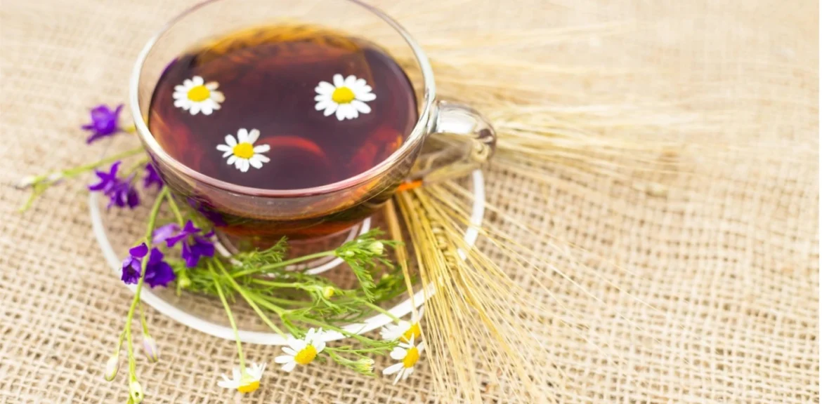 Potensi Pengembangan Teh Herbal di Pasar Modern