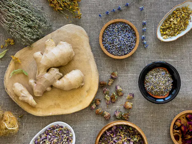 Potensi Bisnis Herbal yang Terus Berkembang